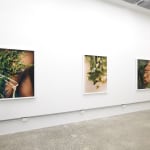 Laura Williams, Respite: Headfirst, 2024
