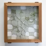 Rachel Hope Peary, Field of grace, 2024