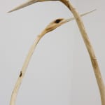 Dm 042