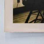 Timothy Webby, Untitled (Lilies), 2025