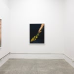 Laura Williams, Respite: Headfirst, 2024