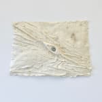 Atarangi Anderson, Te Manaia Paikea, 2025