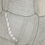 Rachel Hope Peary, Field of grace, 2024