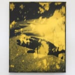 Anna Higgins, Portrait (Field) , 2025