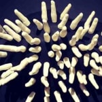 Lauren Baker, The Fingers, 2013