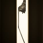 Cathy Rogers, Stipa Gigantea , 2021