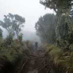Omar Al Gurg, Everyman's Mountain: Moorland – 004, 2021