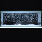 Aiko Miyanaga, message from the light(N°6), 2021