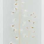 Jaan Toomik, Waterfall, 2005
