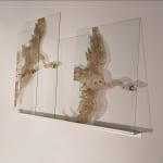 Jaan Toomik, Waterfall, 2005