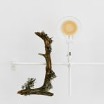 Jaan Toomik, Waterfall, 2005