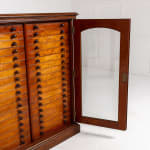 19th Century Butterfly Collection