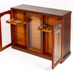 19th Century Butterfly Collection