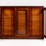 19th Century Butterfly Collection