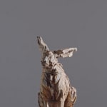 Jurgen Lingl, Sitting Leopard