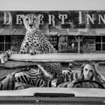 David Yarrow, Welcome To The Jungle