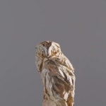 Jurgen Lingl, Sitting Leopard