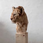 Jürgen Lingl, Stormy Wolf, buste de loup