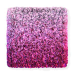 Hong-Yi Zhuang, Flowerbed ZHY-S82481