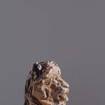 Jurgen Lingl, Sitting Leopard