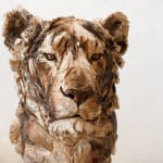 Jurgen Lingl, Sitting Leopard