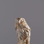 Jürgen Lingl, Stormy Wolf, buste de loup