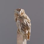 Jürgen Lingl, Angel Gardien