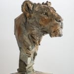 Jürgen Lingl, Stormy Wolf, buste de loup