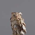 Jürgen Lingl, Stormy Wolf, buste de loup