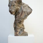 Jürgen Lingl, Stormy Wolf, buste de loup