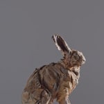 Jürgen Lingl, Stormy Wolf, buste de loup