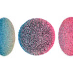 Hong-Yi Zhuang, Flowerbed ZHY-S82481
