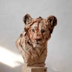 Jurgen Lingl, Sitting Leopard
