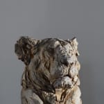 Jürgen Lingl, Stormy Wolf, buste de loup