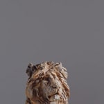 Jurgen Lingl, Sitting Leopard