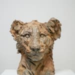 Jürgen Lingl, Stormy Wolf, buste de loup