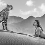 David Yarrow, The Pack