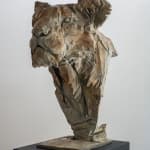 Jürgen Lingl, Stormy Wolf, buste de loup