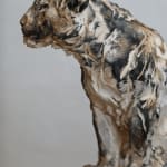 Jurgen Lingl, Sitting Leopard