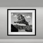 David Yarrow, Welcome To The Jungle