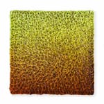 Hong-Yi Zhuang, Flowerbed ZHY-S82481