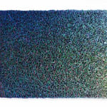 Hong-Yi Zhuang, Flowerbed ZHY-S82481