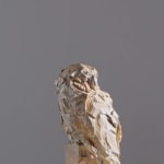 Jürgen Lingl, Stormy Wolf, buste de loup