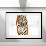 David Yarrow, The Pack