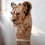 Jurgen Lingl, Sitting Leopard