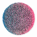 Hong-Yi Zhuang, Flowerbed ZHY-S82481