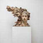 Jürgen Lingl, Stormy Wolf, buste de loup