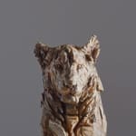 Jurgen Lingl, Sitting Leopard