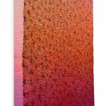 Hong-Yi Zhuang, ZHY-S62322