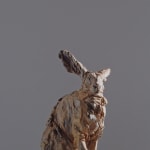 Jurgen Lingl, Sitting Leopard